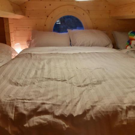Springbank Cabin Insch 外观 照片